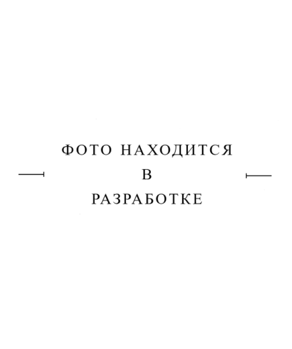 Направляющая телескопа SHANMON Z050261684 (1шт)